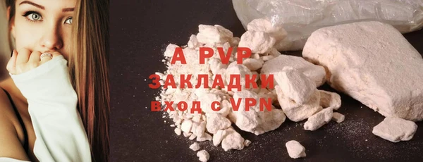 крисы Бородино