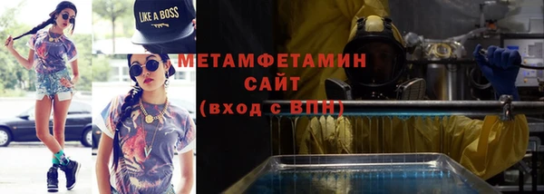 крисы Бородино
