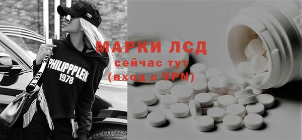 крисы Бородино