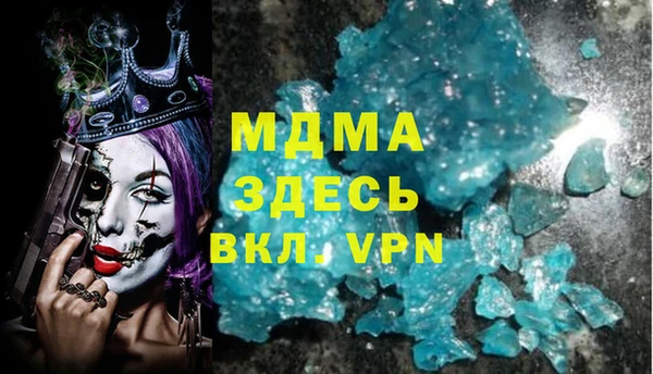 крисы Бородино