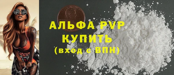 крисы Бородино