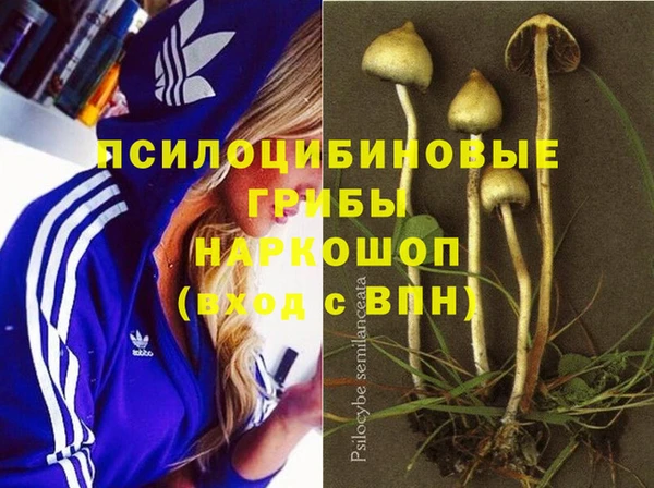 крисы Бородино