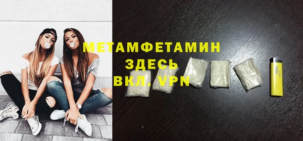 крисы Бородино