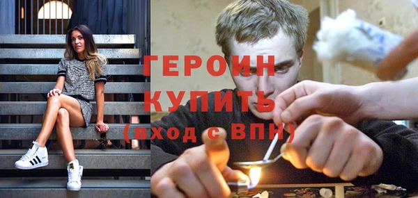 крисы Бородино