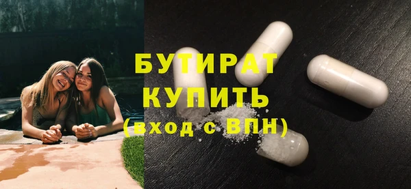 крисы Бородино