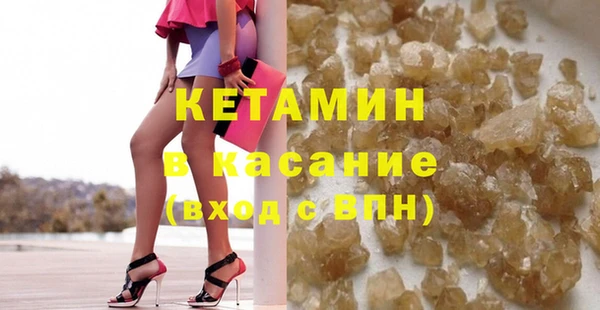 крисы Бородино