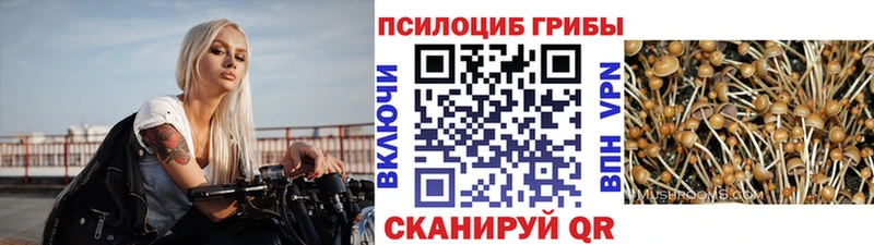 Псилоцибиновые грибы прущие грибы  Купить  Чусовой 